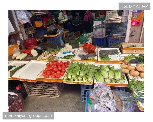 俱乐部年度财务报告显示稳健增长，俱乐部财务分析